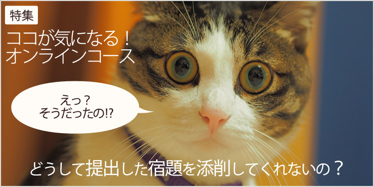 ここが気になる！オンラインコース