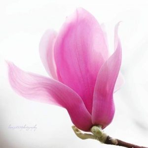 コウイチ・フィリポ