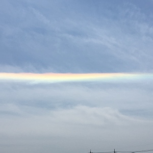 こころのしおり