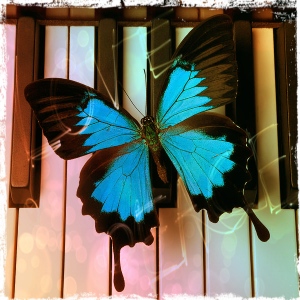 Blue Butterfly